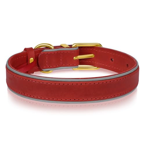 Collier en cuir pour chien OOPSDOGGY rouge protégez votre compagnon avec style