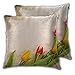 SAIAOS Poszewka na poduszkę 40 x 40 cm, tulipanowa kwiatowa rama na bambusowej macie, zestaw 2 dekoracyjnych kwadratowych poszewek na poduszki do salonu sofa kanapa krzesło łóżko