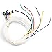 New Classic Toys 10332 Set mit 6 versch. Gitarrensaiten, Saiten, 80 x 120 x 5mm en las günstig Kaufen-New Classic Toys 10332 Set mit 6 versch. Gitarrensaiten, Saiten, 80 x 120 x 5mm
