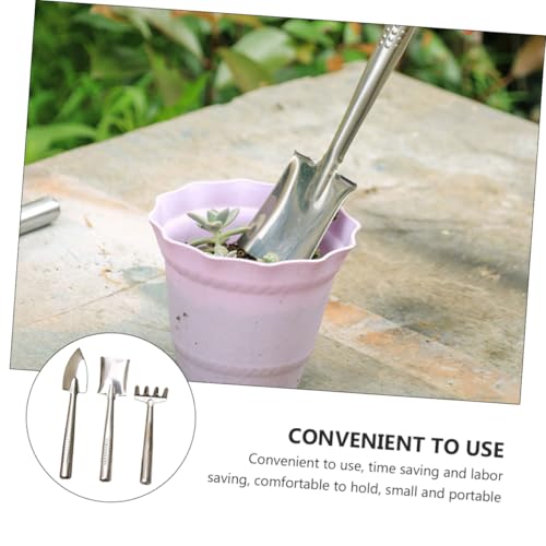 Set mini herramientas de jardinería de acero inoxidable miniatura 7