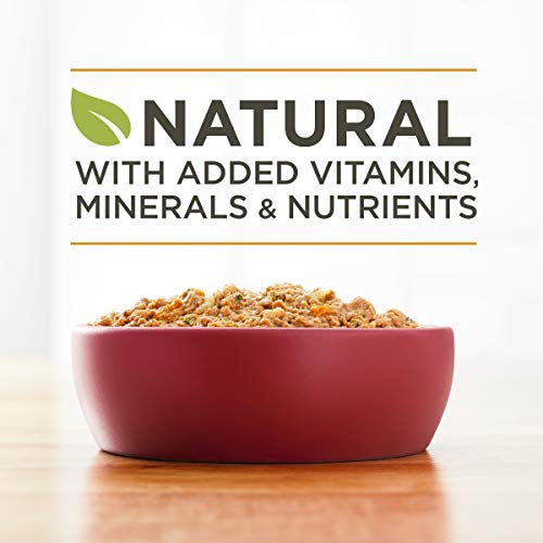 Purina ONE Natural Pate Wet Dog Food, SmartBlend Chicken & Brown Rice Entree - (12) 13 oz. Cans - Image 3