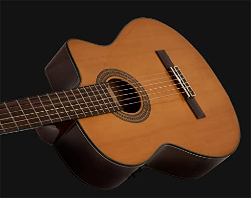 Washburn C64SCE Guitare Classique - Les Beatles, Paul McCartney, John Lennon, RIngo Starr, George Harrison Washburn C64SCE Guitare Classique – Image 3
