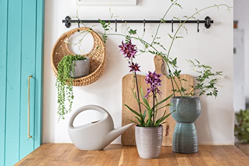 Scheurich Smilla, Gießkanne aus Kunststoff, Farbe: Matt Taupe, 33,5 cm Breite, 9,6 cm Tiefe, 22,2 cm hoch, 1,6 l Vol.