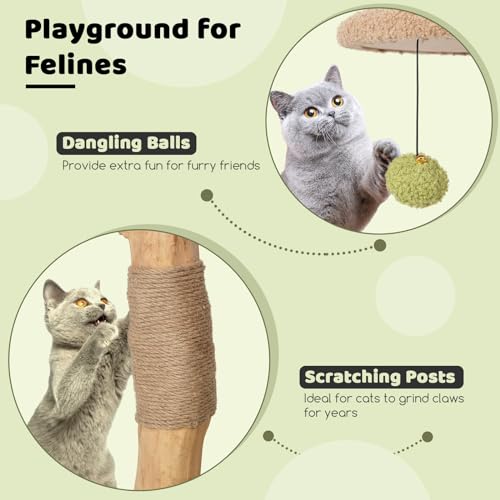 Árbol para Gatos de Madera Multi-niveles 43 Pulgadas miniatura 4