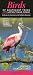 Birds of Southeast Texas & the Upper Texas Coast:  A Guide to Common & Notable Species (Quick Reference Guides)
