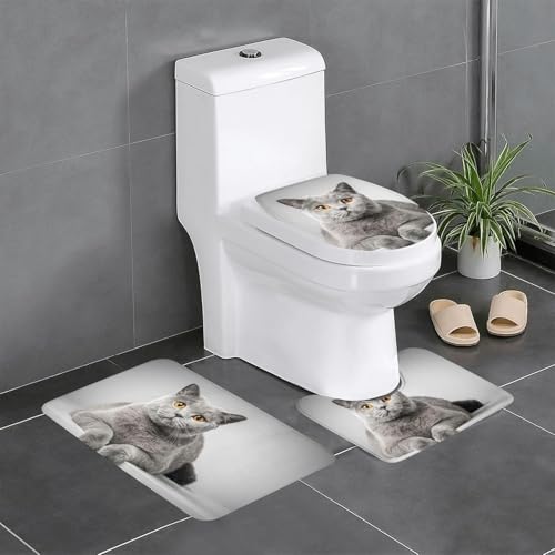 L DF ueBbVV[gwA ybg 3_Zbg t^Jo[ ֍Jo[ U^ O^ @ ~ ʗp^ z 􂦂    킢 40x60cm