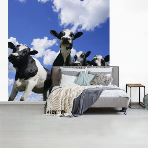 Tête De Vache 3D – Papier Peint Adhésif Mural A026 – Déco Rigolote Et Amovible