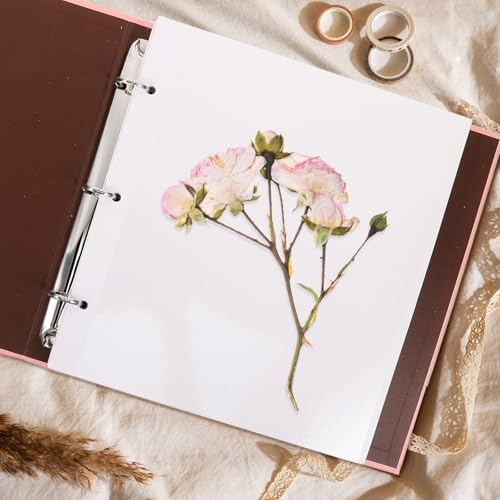 Álbum de flores secas CANIGHT para guardar tus plantas prensadas en casa 8