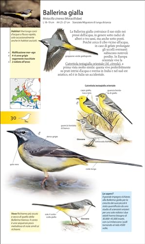 Che Uccello è Questo? - 7