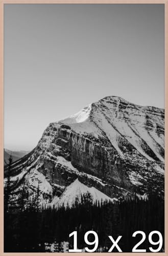 Frame It Easy 19 x 29 Rose Gold Metal Frame (Ashford)