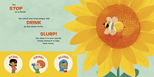 You Are a Honey Bee! (Meet Your World) - Image 5