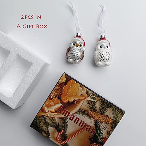 Amanman Glass Christmas Ornaments 2022, Set Of 2 Owls Blown Glass Ornaments For Christmas Tree Decorations #TOP4