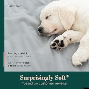   Waterproof-Blanket-for-Bed-Enjoy-Intimacy-Peaceful-Cherished-Love-Moments-Fleece-Blanket-Waterproof-Dual-Tone-WarmCool-Gray-Perfect-for-Couples-Adults-PetsDogs-80x90