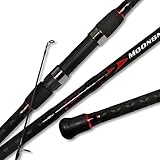 Fiblink Surf Spinning Fishing Rod 2-Piece/4-Piece Graphite Travel...