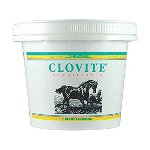 Clovite - 5 pounds
