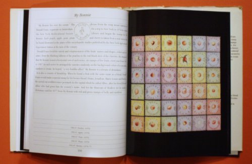 The World of Donald Evans 0825296560 Book Cover