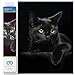 Produktbild DIAMOND DOTZ DD5.001 - Original 5D Diamond Painting Set Mitternacht Katze, Kreativset mit 4.389 Diamant Mosaiksteinen, Malset ca. 36 x 28 cm, DIY Komplettset für Erwachsene und Kinder ab 8 Jahren