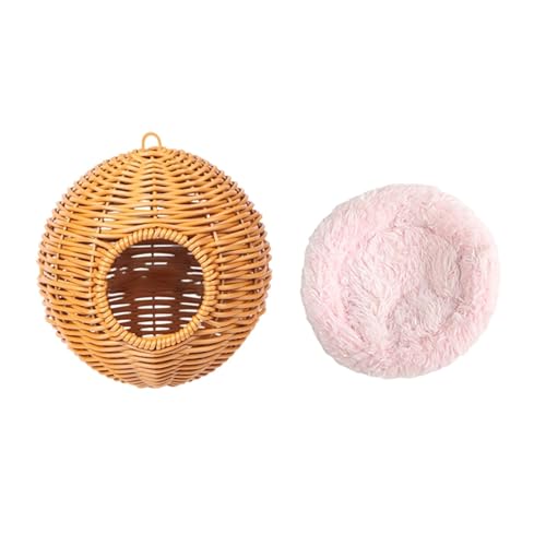 Jinhxofs ɐBp̑ ZLZCCRpnbNXCO CRp ҂݂̑ _炩PPf fUC p p, sN