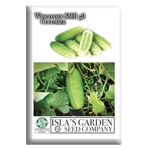 Wisconsin SMR 58 Cucumber Seeds (Cucumis sativus) – 50+ Heirloom