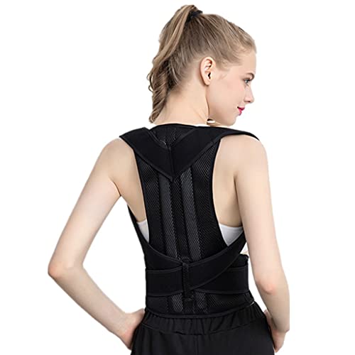 pobNo[T|[gxgu[XT|[gg[i[g̋Ǝ̒ɂ݂̊ɘajp (XL) charitable