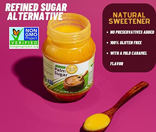 Four Elephants Premium Palm Sugar Non-Gmo 16 Oz (1) #TOP1