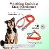 JIM HODGES DOG TRAINING Martingale Collar for Dogs, Biothane, Stainless Steel Hardware, No Pull, Made in The USA, Professional Grade, Medium, Orange #1