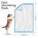 FPN Puppy Pads - 100 Pack, Small (18x13 in) - Dog pad Super Absorbent, Fast-Drying, Leak-Proof, Non-Slip, Odor Control Pee Pads for Training Puppies, Dogs, Cats, and All Pets - Durable & Disposable