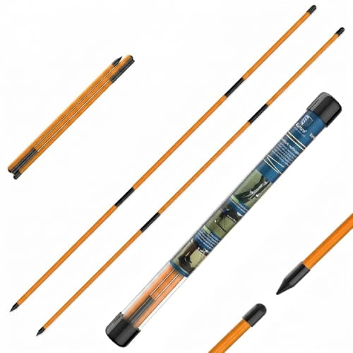 CAITON Golf Alignment Sticks 2 Pack, 48 Inch Collapsible Alignment Rods with Clear Storage Tube, Swing Training Aid for Aiming, Putting, Swing Path & Posture Correction