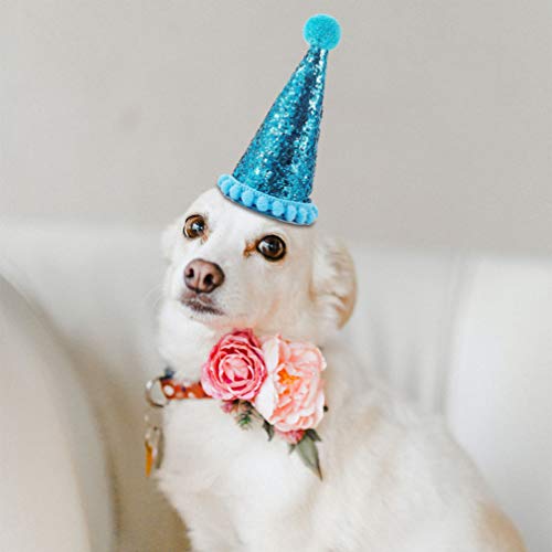 ULTECHNOVO 2Pcs Pet Coroa De Aniversário Chapéu Do Aniversário Chapéu E Bandana Do Cão Filhote de Ca