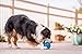 Outward Hound Guru Treat-Dispensing Puzzle Ball Dog Toy, Blue