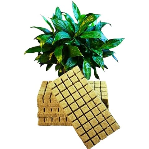 CastleGreens Rock Wool Planting Cubes, Rockwool Cubes 1 inch, Rockwool Cubes for Hydroponics, Great for Rooting, Cuttings, Cloning Plants, Seed Germination (4 Sheets, 200 Cubes Total) Cover