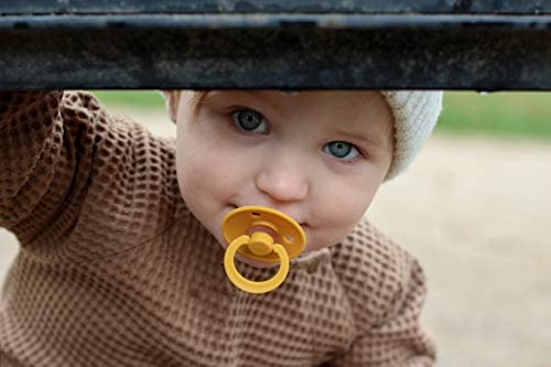 BIBS Colour Natural Rubber Size 3: 18+ months tétine Blush Night / Vanilla Night 2 pcs - vue 8