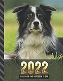  2022 Calendar and Notebook In One: Black White Border Collie Dog Photo / 8.5x11 Monthly Planner with Note Paper Combo / Large Organizer With Whole ... Ruled Lined Sheets / Life Organizing Gift