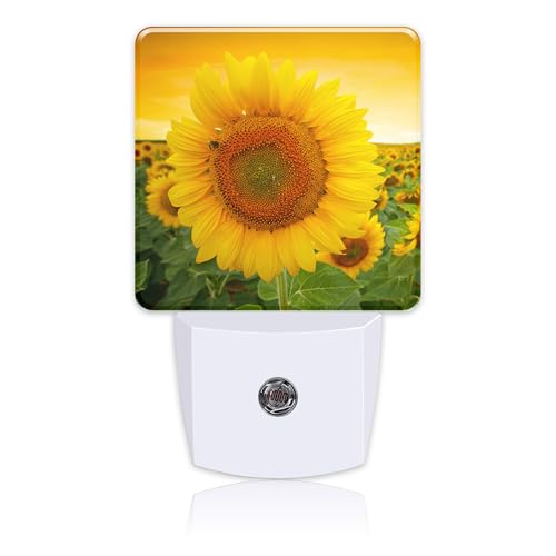 Image of Plug in Night Lights Sunset Sunflower Field Nightlight Plug Into Wall Dusk to Dawn Sensor LED Night Light for Kid Girls Boys Women Men Room Decor, Hallway, Kitchen, Bathroom, Nursery, Stairs