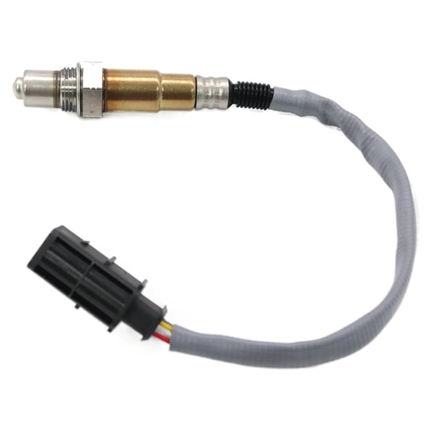 49 0000s_0021_231012DSC06306_gran