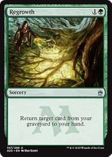 Wizards of the Coast Regrowth - Masters 25