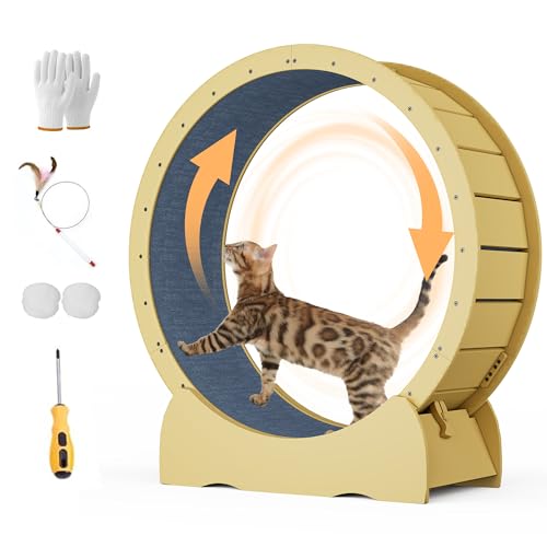 41 inch Cat Exercise Wheel,Large cat Wheel for Indoor Cats,with Detachable Carpet & Toy,for Running/Walking/Training, Suitable for Most Cats