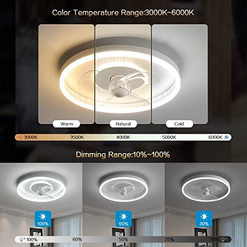 Ventilateur de plafond avec éclairage LED et télécommande pour salon - 4