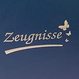 Idena 20103 - Teczka raportowa DIN A4, 12 kieszeni, dowód osobisty, niebieski, teczka na dokumenty, 1 szt.