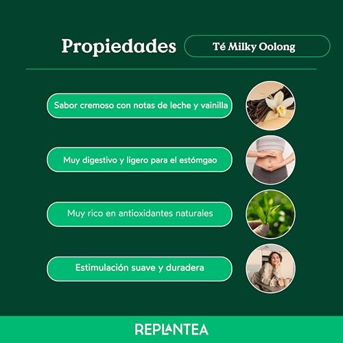 Bio Milky Oolong Tee (100g) | Premium Oolong Tee lose mit cremig-süßen Milchnoten | Sanfte Teespezialität | REPLANTEA