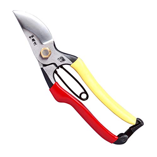 Best Tobisho Secateurs