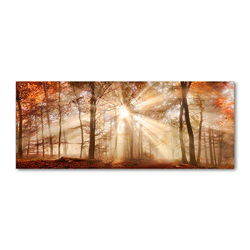 Brouillard dans la forêt d'automne fond de hotte en verre anti-tache 125cm
