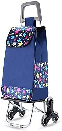 Litiere pour chat grand format fermee anti projection pour resoudre les problemes de sol sale