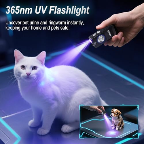 BORUIT EV30 Mini LED EDC Flashlight with 365nm UV Light, 550 Lumens USB-C Rechargeable Pocket Keychain Flashlight, Magnetic Tail & Clip, IP66 Waterproof for Camping, Hiking, Emergencies — view 2