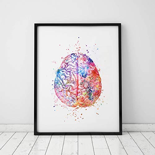 Amazon.com: ZEARPT Watercolor Anatomy Brain Wall Art, Vintage