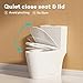 Casta Diva Elongated One Piece Toilet with 17