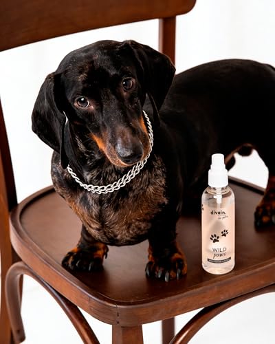 Haustierperfüm 100ml | Bergamotte + Lavendel + Zeder | Frisches aromatisches Parfüm für Hunde und Katzen | Wild Paws | divain. for pets