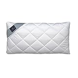 billerbeck duvet Viscoelastischer Kern billerbeck Nackenstützkissen Variolux® 40 x 80 cm angenehm Soft, Aloe Vera, Visoschaum