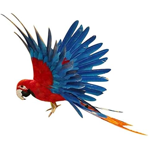 Taotenish Artificial Birds Lifelike Feathered Birds Model Artificial Birds Lifelike Feathered Tree Craft - 15.7inch Red and Blue Cover