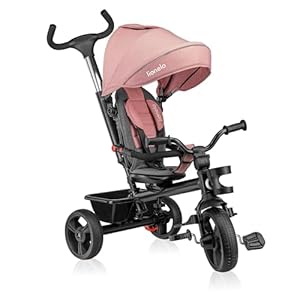 LIONELO Haari Bicicleta 2 en 1 Menores hasta 25 kg 1,5-5 años Triciclo- Carrito Cesta espaciosa, Bolsa y portavasos Cinturones de 3 Puntos con Fundas Toldo Reposapiés Rosa